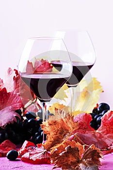 Sweet portuguese red wine in large glasses, autumn still life with red and yellow leaves on pink background, selective focus
