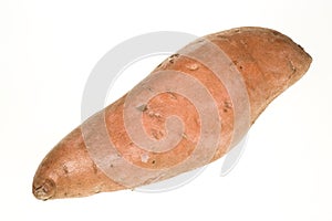 Sweet Potato photo