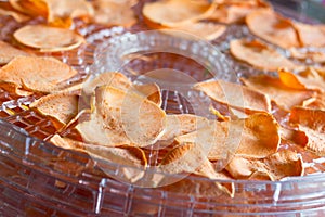 Sweet potato chips dehydrating