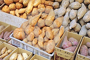 Sweet potato closeup for sale