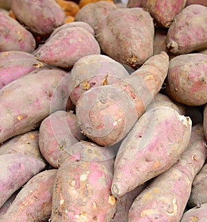 Sweet potato closeup for sale