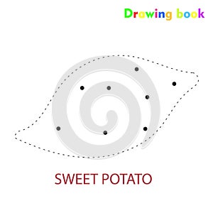 Sweet potato coloring and drawing book vegetable design illustration