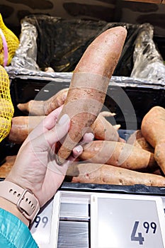 Sweet potato in hand