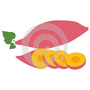 Sweet potato illustration