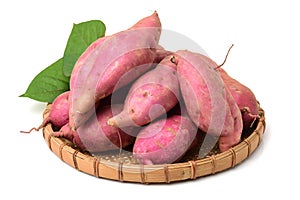 The sweet potato Ipomoea batatas or batat