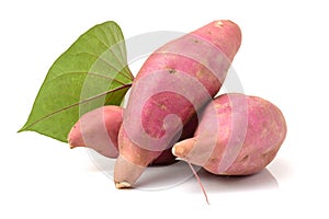 The sweet potato Ipomoea batatas or batat photo