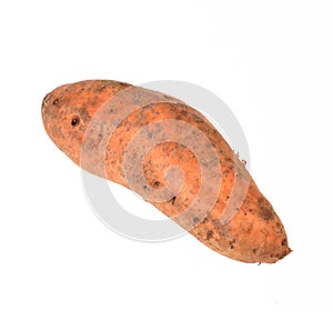 Sweet potato isolated on white background