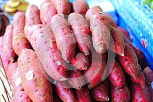 Sweet potato or kumara