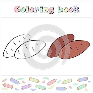 Sweet potato. A page of a coloring book with a colorful vegetables and a sketch for coloring.