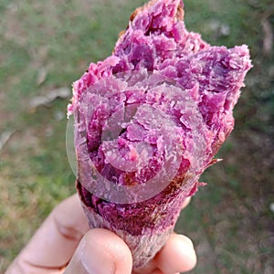 Sweet potato purple on hand very tasty.