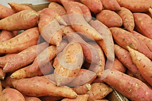 Sweet potatoes