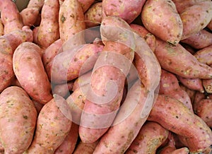 Sweet Potatoes photo