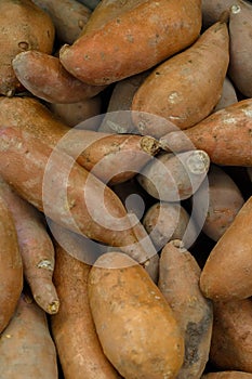 Sweet Potatoes