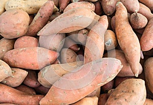 Sweet Potatoes