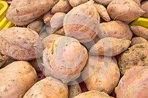 Sweet potatoes photo