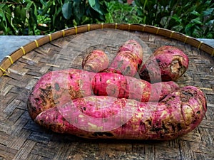 Sweet potatoes are housed in old tampah