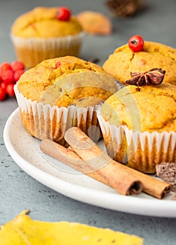 Sweet pumpkin or carrot muffins with fall spices. Autumn dessert.