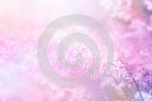 Sweet purple background of grass flower with glitters, romance background