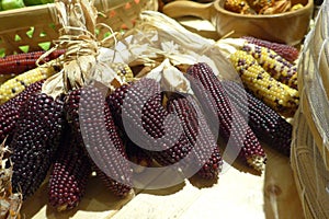 Sweet purple corn
