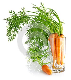 Sweet raw carrot tuber isolated cutout