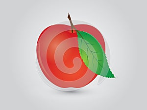 A sweet red apple with leaf vector illustration
