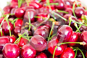 Sweet red cherries