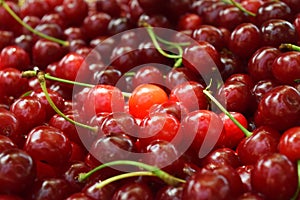 Sweet red cherry