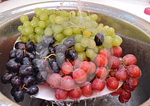 Fruits, food, berry, grapes, Grapes, fresh, isolated, healthy, red, green, black, sweet, white, vegetarianism ripe, berries, Black