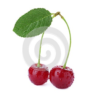 Sweet red juicy cherries with water drops isolated