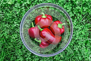 Sweet red peppers in a glass basket on green grass. Vegetables for vegans. The red sweet bell pepper, good for health.