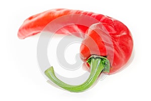 Sweet Red Pointed Pepper