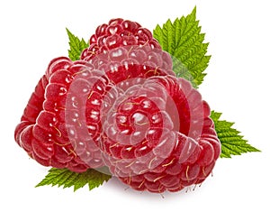 Sweet red ripe raspberry berries and green fresh leaf isolated on white background,