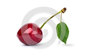 Sweet ripe cherry photo