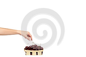 Sweet ripe cherry in package with hand isolated on white background, copy space template.