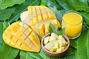 Sweet ripe mangos - Mango juice glass with mango slice on mango leaves from tree tropical summer fruit concept