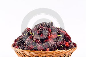 Sweet ripe mulberry in brown basket on white background healthy mulberry fruit food isolated