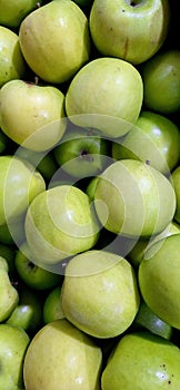 Sweet Riped Green Apples