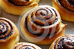 Sweet rolls with cinnamon and cocoa filling. Cinnabon roll bread, homemade bakery. Kanelbulle swedish dessert.