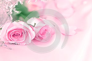 sweet rose flowers for love romance background