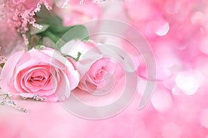 sweet rose flowers for love romance background