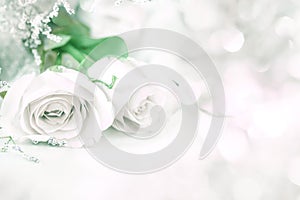 sweet rose flowers for love romance background