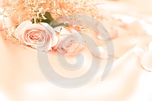 Sweet rose flowers for love romance or wedding background