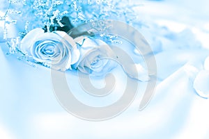 Sweet rose flowers for love romance or wedding background