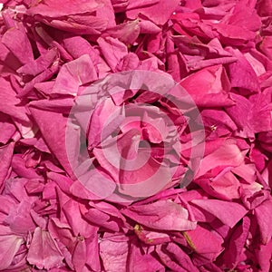 Sweet roses petals jam background