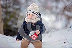 Sweet siblings, children having winter party in snowy forest.  Young brothers, boys, drinking tea from thermos. Hot drinks and