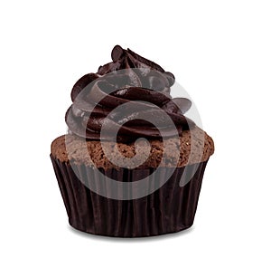 Chocolate cupcake isolated on white background