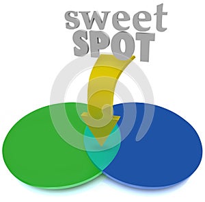 Sweet Spot Overlapping Venn Diagram Area Perfect Ideal