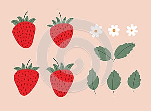 Sweet strawberry set. Ripe strawberries, leaves and flowers. Cartoon flat vector illustration