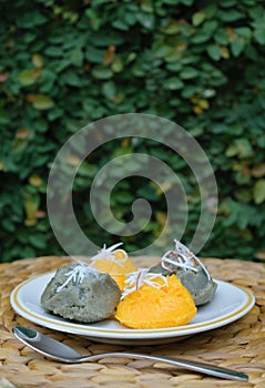 Sweet sugarpalm cake with scraped coconut, called Kanom Taan is