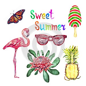Sweet summer watercolor isolated illustration set, Monarch butterfly, glasses, striped ice cream, flamingo, waratah and pineapple